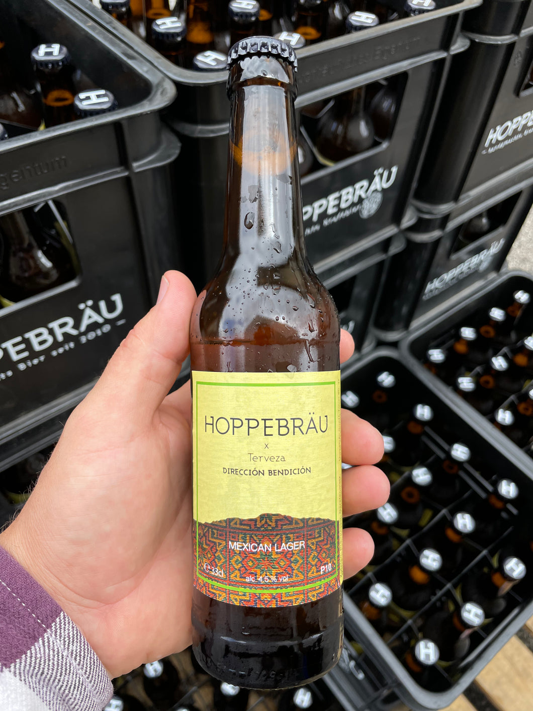 Terveza X Hoppebräu Mexican Lager 0,33l